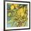 The Lemons Above-Jennifer Lommers-Framed Art Print