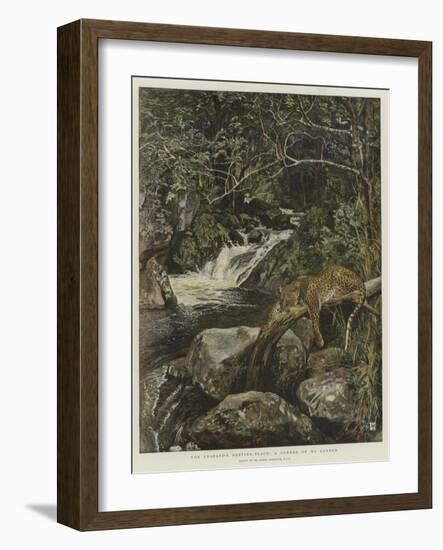 The Leopard's Resting-Place, a Corner of My Garden-Harry Hamilton Johnston-Framed Giclee Print