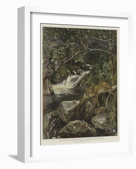 The Leopard's Resting-Place, a Corner of My Garden-Harry Hamilton Johnston-Framed Giclee Print