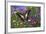 The Lesser Jay Butterfly, Graphium Evemon Orthia-Darrell Gulin-Framed Photographic Print