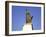 The Lesser-Known Statue of Liberty Perched in the Seine, Paris, France-Natalie Tepper-Framed Photographic Print