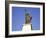 The Lesser-Known Statue of Liberty Perched in the Seine, Paris, France-Natalie Tepper-Framed Photographic Print