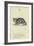 The Letter C-Edward Lear-Framed Giclee Print