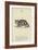 The Letter C-Edward Lear-Framed Giclee Print