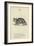 The Letter C-Edward Lear-Framed Giclee Print