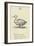 The Letter D-Edward Lear-Framed Giclee Print