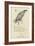 The Letter E-Edward Lear-Framed Giclee Print