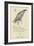 The Letter E-Edward Lear-Framed Giclee Print