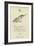 The Letter K-Edward Lear-Framed Giclee Print