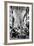 The Liberation of Strasbourg, France, November 1944-null-Framed Photographic Print