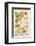 The Life Cycle of a Silk Worm and Silk Culture-A. Reichert-Framed Photographic Print