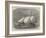 The Life-Raft Nonpareil, Which Has Recently Crossed the Atlantic-Edwin Weedon-Framed Giclee Print