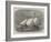 The Life-Raft Nonpareil, Which Has Recently Crossed the Atlantic-Edwin Weedon-Framed Giclee Print