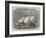 The Life-Raft Nonpareil, Which Has Recently Crossed the Atlantic-Edwin Weedon-Framed Giclee Print