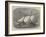 The Life-Raft Nonpareil, Which Has Recently Crossed the Atlantic-Edwin Weedon-Framed Giclee Print