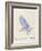 The Light Blue Bird, from 'Sixteen Drawings of Comic Birds' (Pen & Ink W/C on Paper)-Edward Lear-Framed Giclee Print