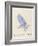 The Light Blue Bird, from 'Sixteen Drawings of Comic Birds' (Pen & Ink W/C on Paper)-Edward Lear-Framed Giclee Print