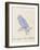 The Light Blue Bird, from 'Sixteen Drawings of Comic Birds' (Pen & Ink W/C on Paper)-Edward Lear-Framed Giclee Print