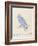 The Light Blue Bird, from 'Sixteen Drawings of Comic Birds' (Pen & Ink W/C on Paper)-Edward Lear-Framed Giclee Print