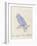 The Light Blue Bird, from 'Sixteen Drawings of Comic Birds' (Pen & Ink W/C on Paper)-Edward Lear-Framed Giclee Print