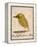 The Light Green Bird, from Sixteen Drawings of Comic Birds-Edward Lear-Framed Premier Image Canvas