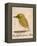 The Light Green Bird, from Sixteen Drawings of Comic Birds-Edward Lear-Framed Premier Image Canvas