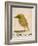 The Light Green Bird, from Sixteen Drawings of Comic Birds-Edward Lear-Framed Giclee Print