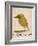 The Light Green Bird, from Sixteen Drawings of Comic Birds-Edward Lear-Framed Giclee Print