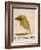 The Light Green Bird, from Sixteen Drawings of Comic Birds-Edward Lear-Framed Giclee Print