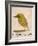 The Light Green Bird, from Sixteen Drawings of Comic Birds-Edward Lear-Framed Giclee Print