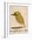 The Light Green Bird, from Sixteen Drawings of Comic Birds-Edward Lear-Framed Giclee Print