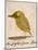 The Light Green Bird, from Sixteen Drawings of Comic Birds-Edward Lear-Mounted Giclee Print