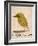 The Light Green Bird, from Sixteen Drawings of Comic Birds-Edward Lear-Framed Giclee Print