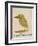 The Light Green Bird-Edward Lear-Framed Giclee Print