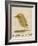 The Light Green Bird-Edward Lear-Framed Giclee Print