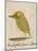 The Light Green Bird-Edward Lear-Mounted Giclee Print