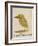 The Light Green Bird-Edward Lear-Framed Giclee Print