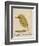 The Light Green Bird-Edward Lear-Framed Giclee Print