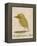 The Light Green Bird-Edward Lear-Framed Premier Image Canvas