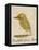 The Light Green Bird-Edward Lear-Framed Premier Image Canvas