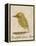 The Light Green Bird-Edward Lear-Framed Premier Image Canvas