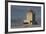 The Lighthouse at Dyrholaey in Iceland-Niki Haselwanter-Framed Photographic Print
