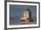 The Lighthouse at Dyrholaey in Iceland-Niki Haselwanter-Framed Photographic Print