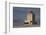 The Lighthouse at Dyrholaey in Iceland-Niki Haselwanter-Framed Photographic Print