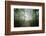 The Lighting Forest 2-Philippe Manguin-Framed Photographic Print