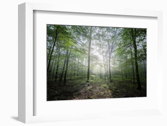 The Lighting Forest 2-Philippe Manguin-Framed Photographic Print