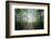 The Lighting Forest 2-Philippe Manguin-Framed Photographic Print