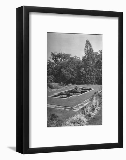 'The Lily Basin, The White Lodge, Richmond', 1926-Unknown-Framed Photographic Print