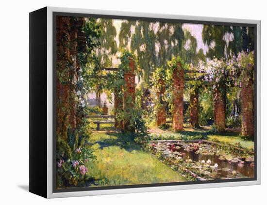 The Lily Pond-Colin Campbell-Framed Stretched Canvas