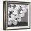 The Lily Pool B&W-Douglas Yan-Framed Giclee Print